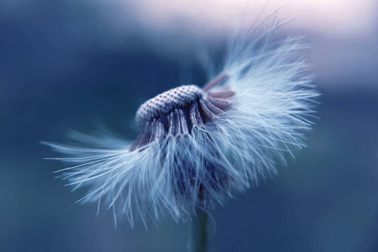 Gale Force Gusts deutsch - Erfahrungen und Infos