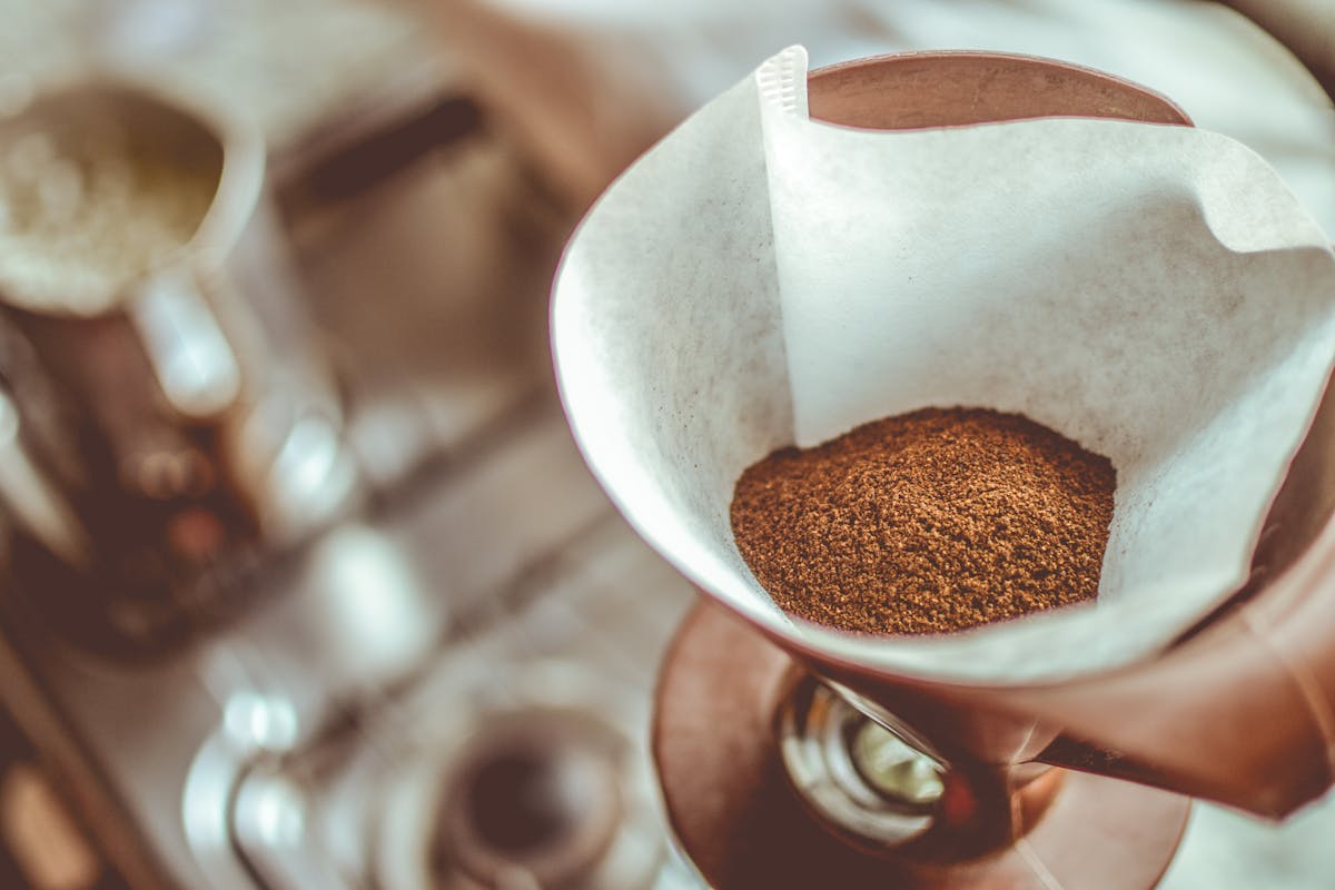 Pilze auf Kaffeesatz kaufen - Tipps