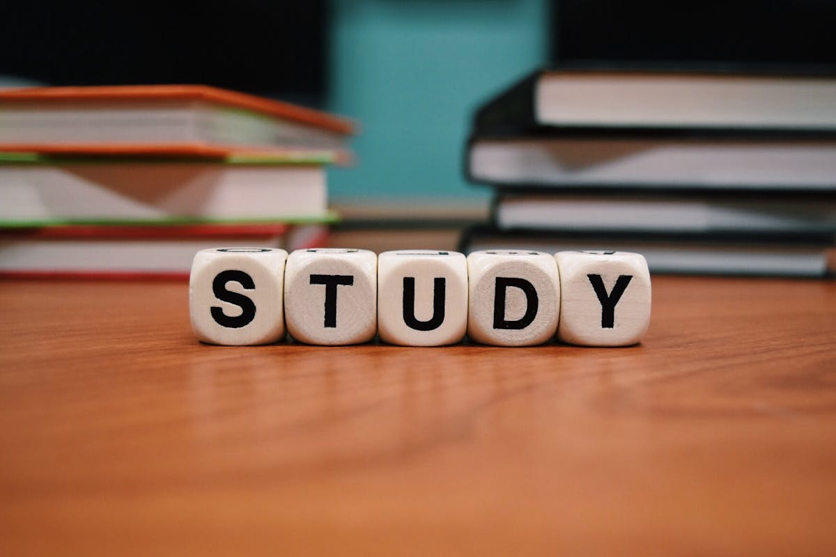 Welches Studium passt zu mir Test und Hilfe