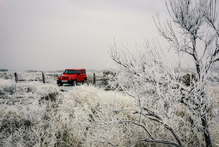 Welche Voraussetzungen braucht ein Auto für den Winterbetrieb mit E10-Benzin?