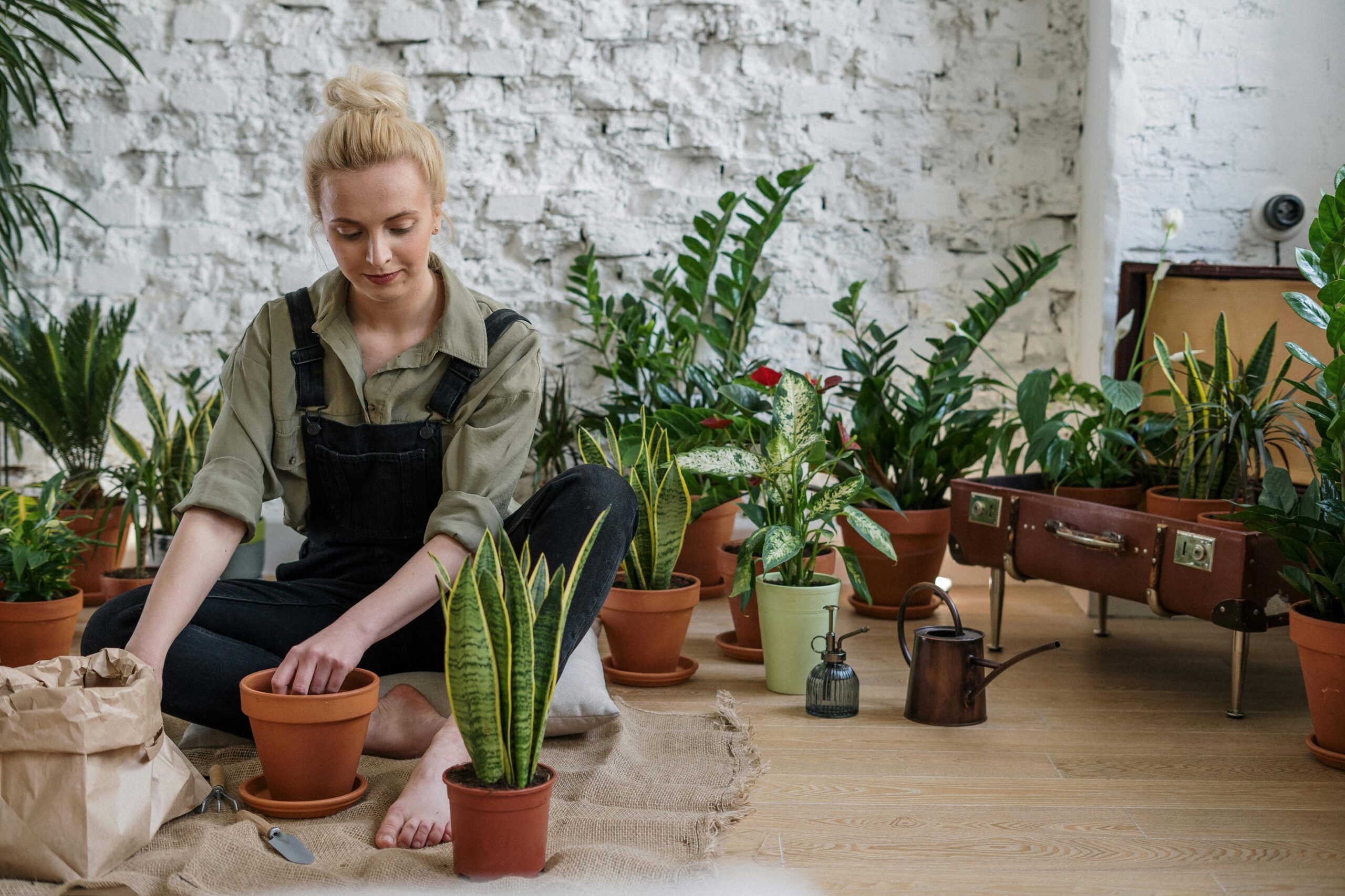 Welche Pflanzen vertragen sich im selben Hochbeet?