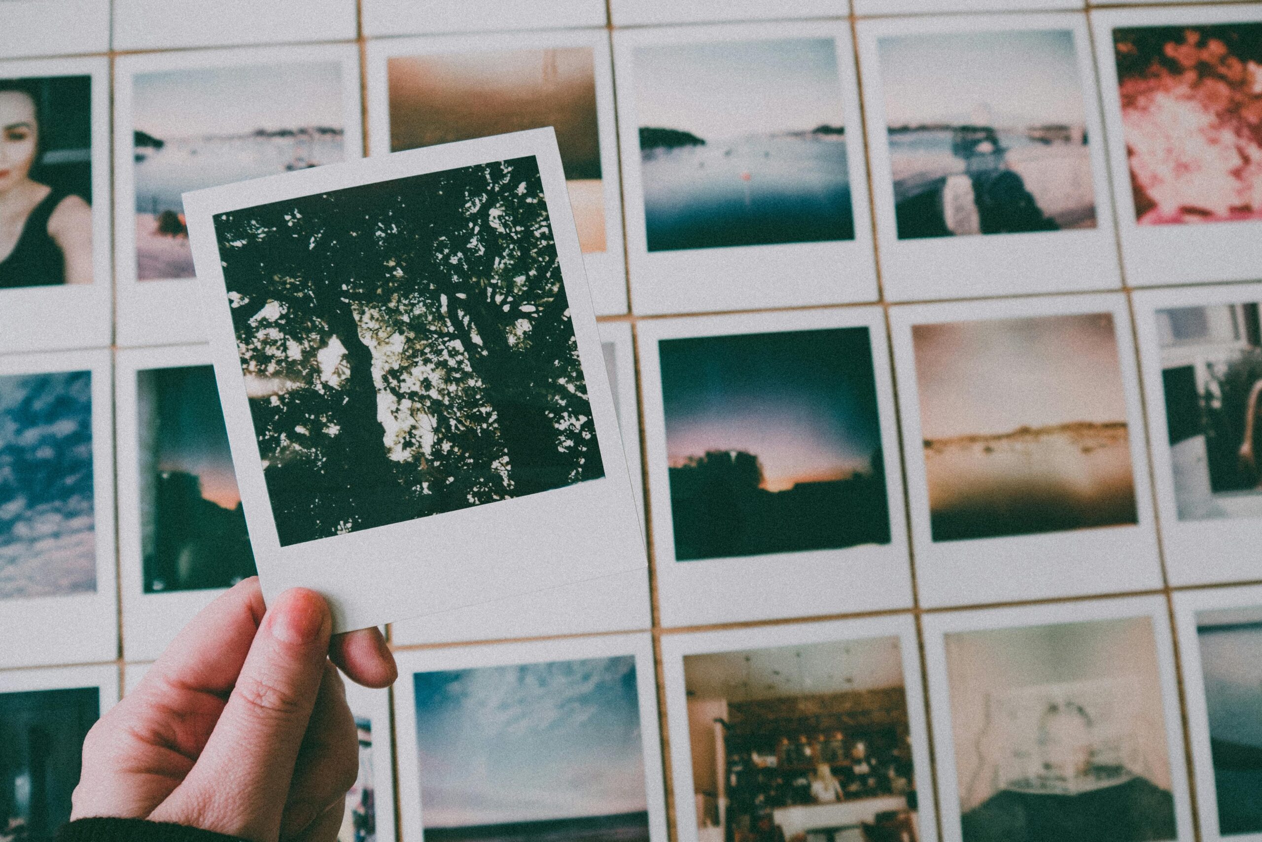 Warum werden Farben auf selbstgedruckten Fotos blass?