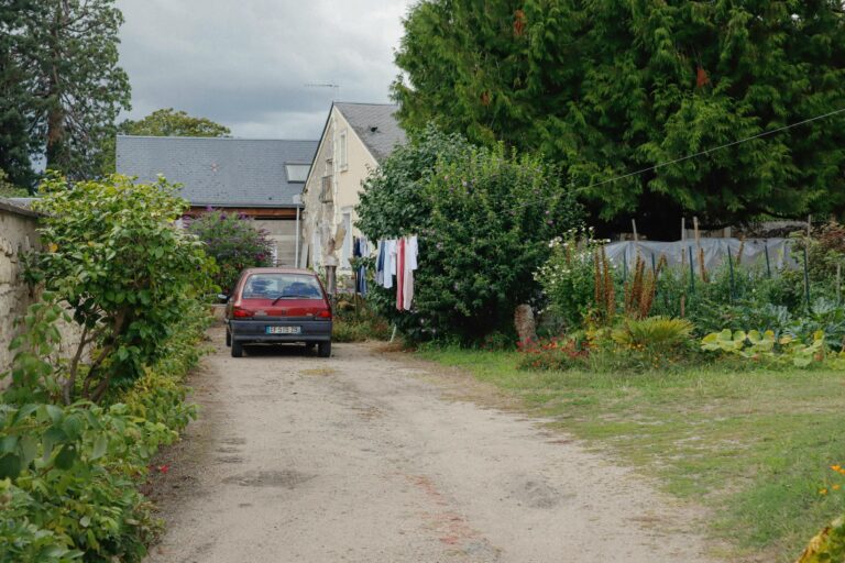 Warum brennt mein Rasen trotz Bewässerung im Sommer?