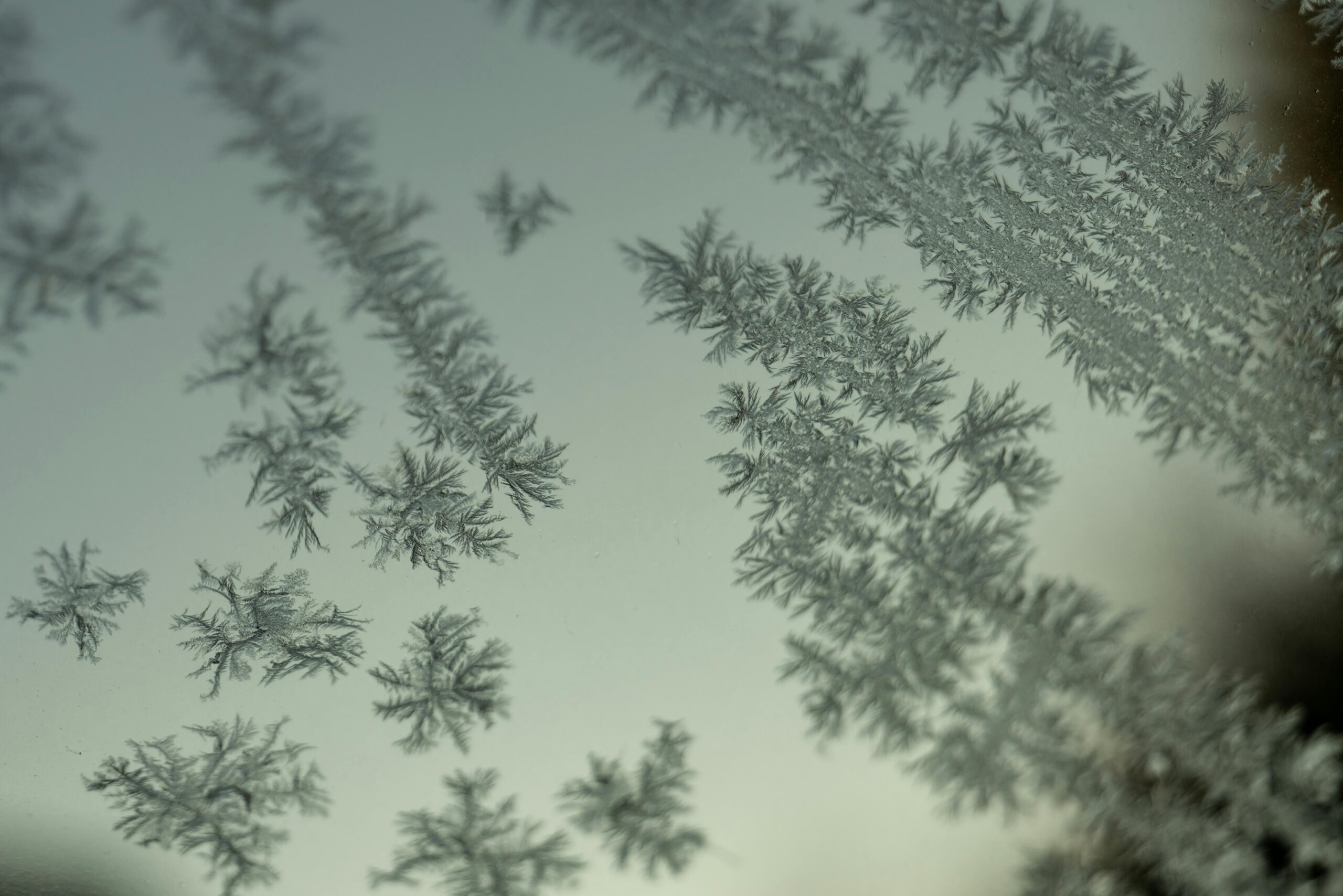 Warum frieren Fenster trotz Isolierglas bei Minustemperaturen von innen?