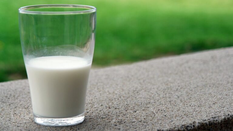 Welche Tricks verhindern das Anbrennen von Milch im Topf