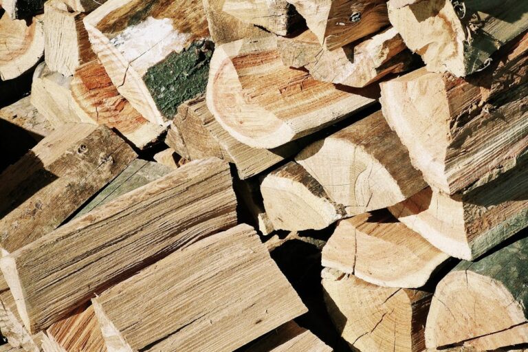 Warum trocknet das Holz für den Kamin trotz Lagerung nicht richtig?