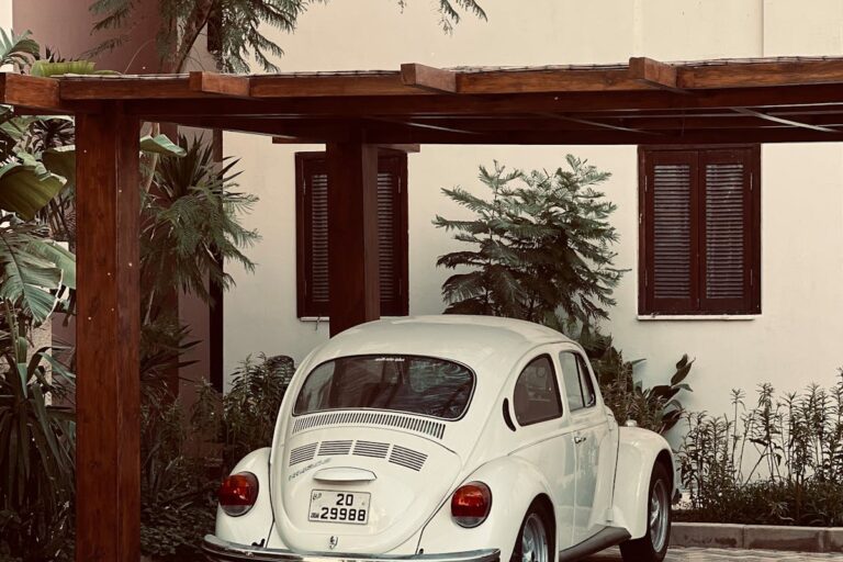 Welche Pflanzen eignen sich für die Begrünung von Carports?