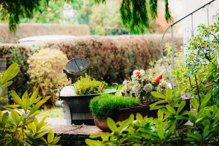 Welche Alternativen gibt es zu chemischen Unkrautvernichtern?