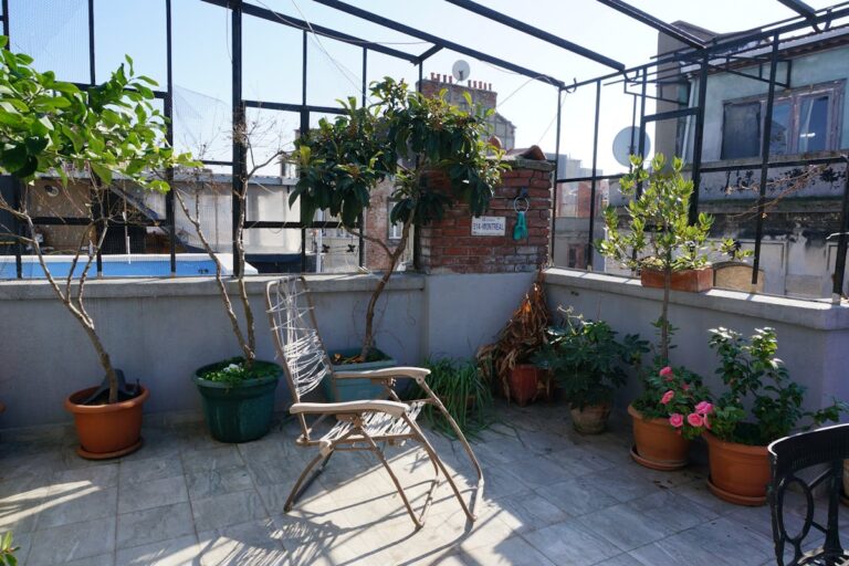 Welche Pflanzen eignen sich für eine Dachterrasse mit viel Sonne?